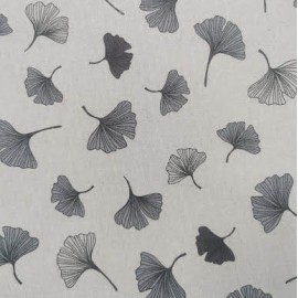 Feuilles de Ginkgo